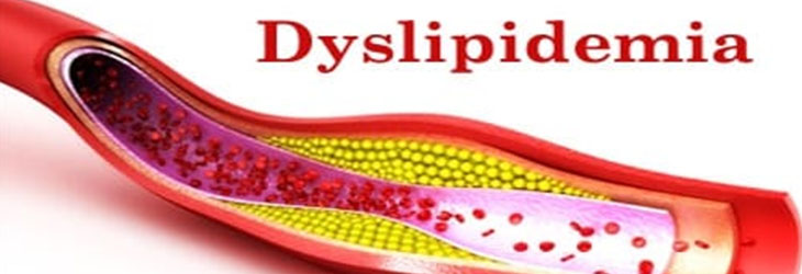 DYSLIPIDEMIA AND RISK FACTORS